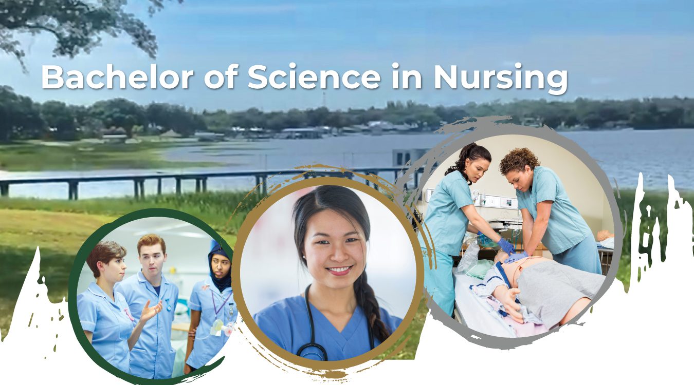 Bachelor of science in nursing Webber University