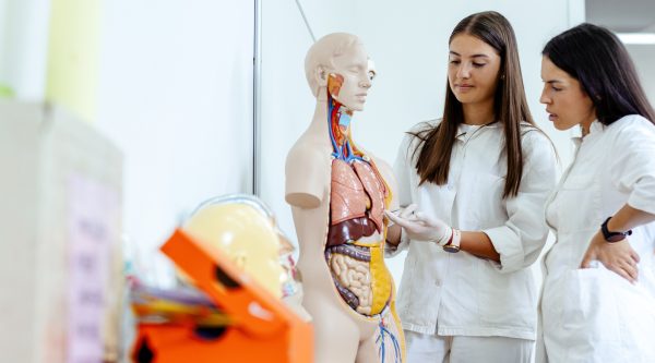 Health Services Manager