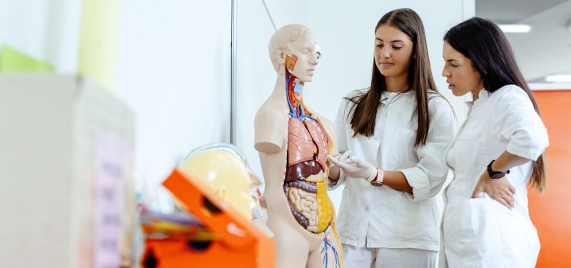 How Do I Become a Medical and Health Services Manager